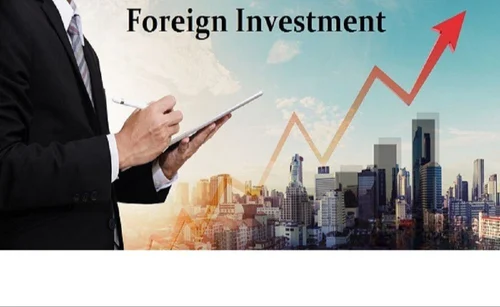 Foreign Investment Advisory